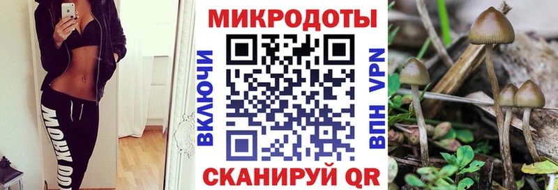Галлюциногенные грибы Psilocybe  Тетюши 